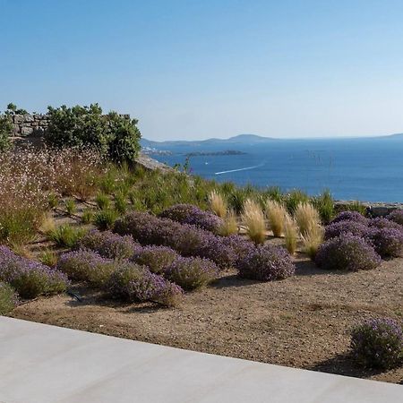 Zelia B&B & Villa Mykonos Town Exteriér fotografie
